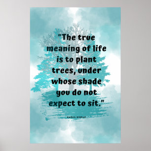 Bondade e Boa Vontade Citam Poster