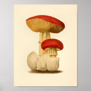 Boné 1861 vermelho do impressão da arte dos