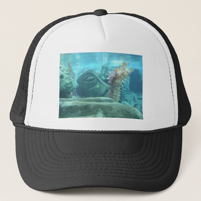 Boné A World Underwater - Stone Statu image (Frente)