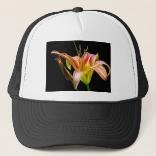 Boné Adorável Roupa e presentes de Tawny Daylily II
