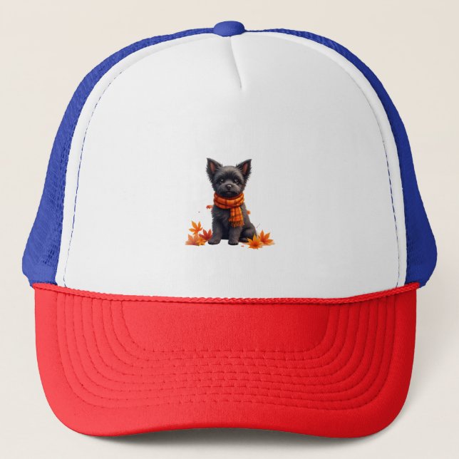 Boné Affenpinscher Com Coração Feita De Folhas De Outon (Frente)