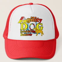 Agilidade do Retriever de Toleragem de Pato da Nov