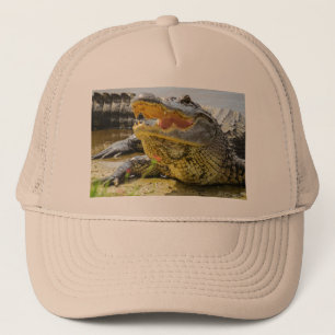 Boné Alligator. Face a face