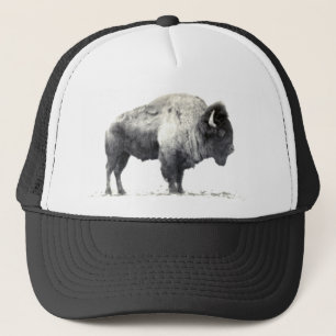 Boné American Bison