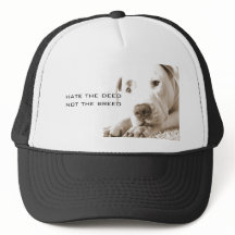 amistoso pitbulbo branco e sonolento, ato de ódio 