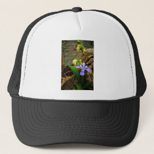 Boné Anã-Caverna-Iris, flor branca púrpura azul-púrpura