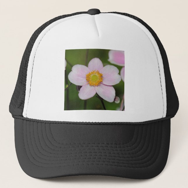 Boné Anemone Rosa (Frente)