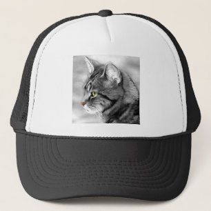 Boné Animais De Gato Retraem Retrato Com Docinho De Pel