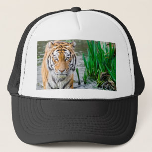 Boné Animal, chapéu, para venda!