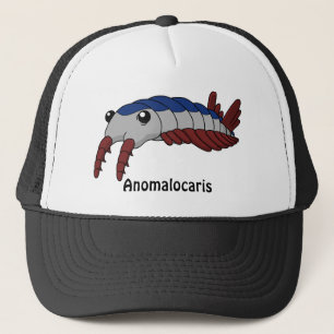 Boné Anomalocaris Impresso