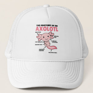 Boné Anotação Axolotl Anatomia De Um Axolotl