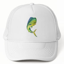 aquários das partes superiores de aquário | do