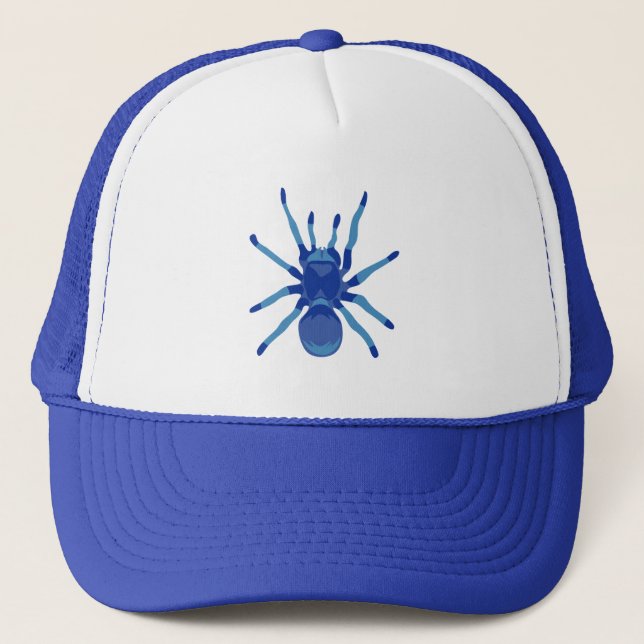 Boné Aranha (Azul) (Frente)