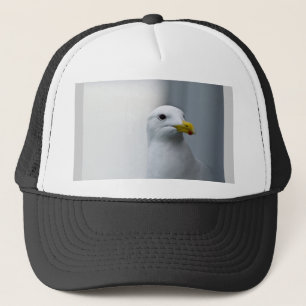 Boné As gaivotas Também Precisam De Amor