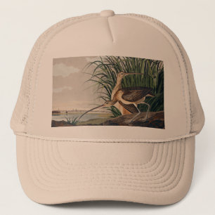 Boné Ave-do-relvado-de-bico-longo-Audubon