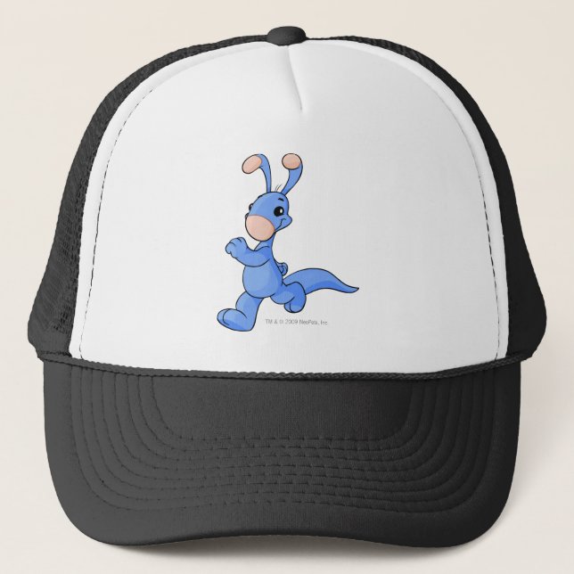 Boné Azul de Blumaroo (Frente)