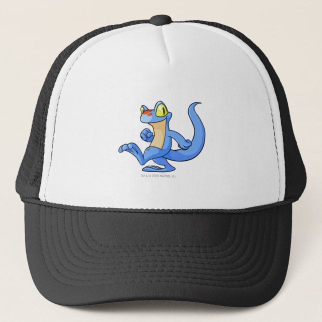 Boné Azul de Techo (Frente)