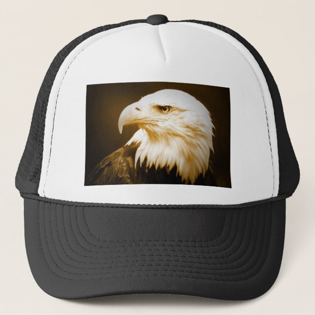 Boné Bald American Eagle Eye (Frente)