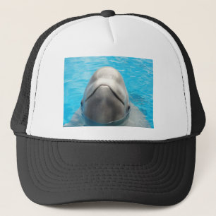 Boné Baleia da beluga