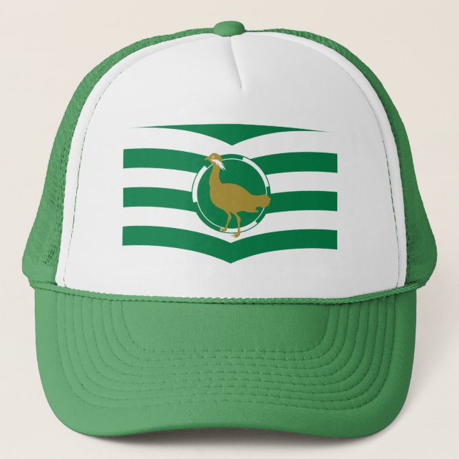 Boné Bandeira de Wiltshire Hat (Frente)