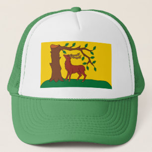 Boné Bandeira do condado histórico de Berkshire Hat