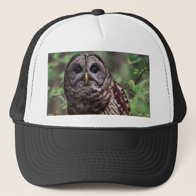 Boné Barred Owl (Frente)