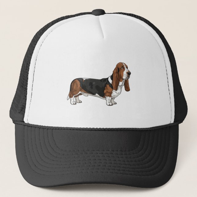 Boné Basset hound (Frente)