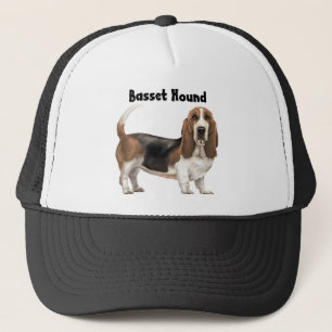 Boné Basset Hound