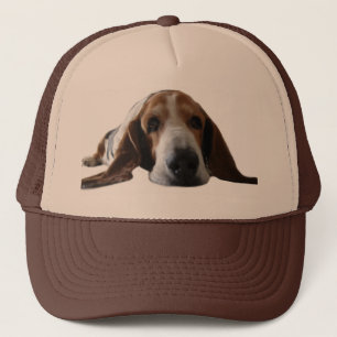 Boné Basset Hound que encontra-se para baixo