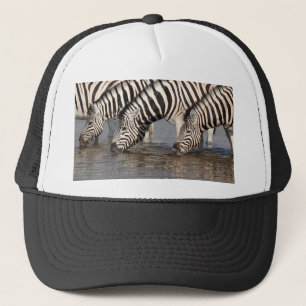 Boné Bebendo Zebras