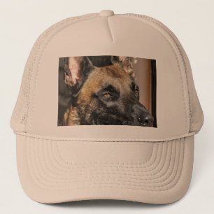 Boné belga malinois.png