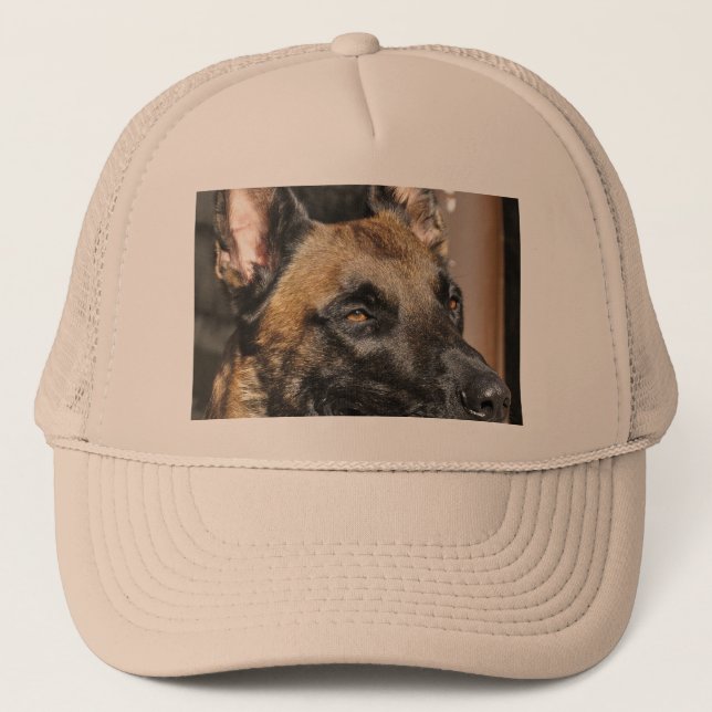 Boné belga malinois.png (Frente)