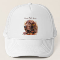 Belo Red Setter Irlandês