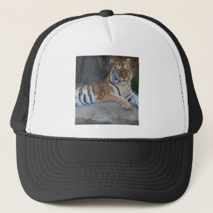 Boné Bengal Tigers