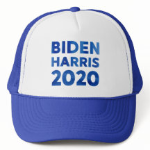 Biden Harris 2020 bold watercolor text politico