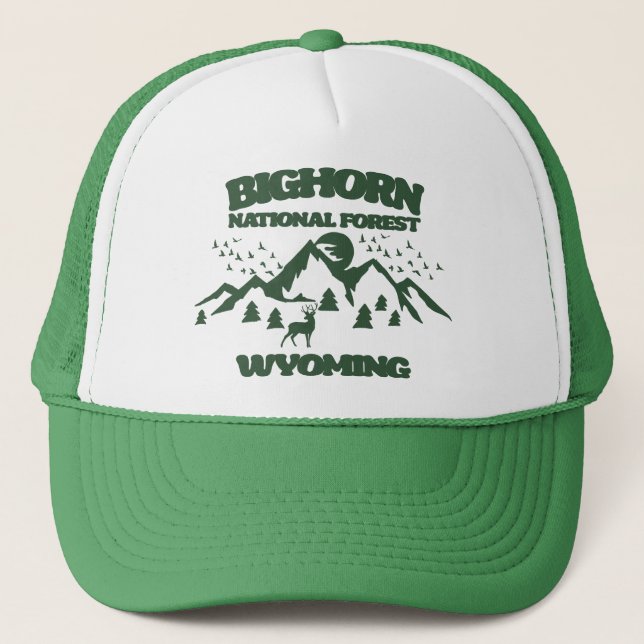 Boné Bighorn National Forest Wyoming (Frente)