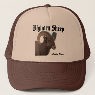 Boné Bighorn Sheep Hat