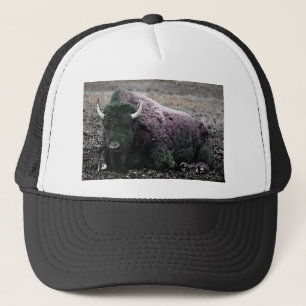 Boné Bison