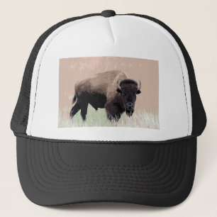 Boné Bison / Buffalo