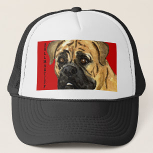 Boné Bloco de Cor do Bullmastiff