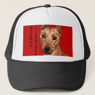 Boné Bloco de Cores do Pinscher Alemão