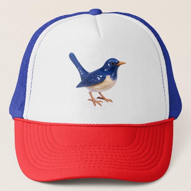 Boné Bluebird (Frente)