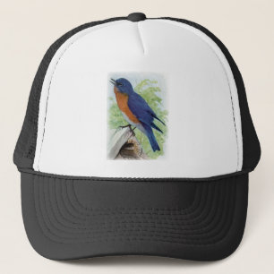 Boné Bluebird