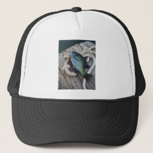 Boné bluegill no doca