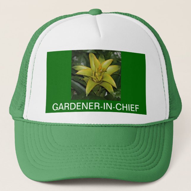 BONÉ BONÉ, GARDENER-IN-CHIEF, BROMELIAD VERDE (Frente)