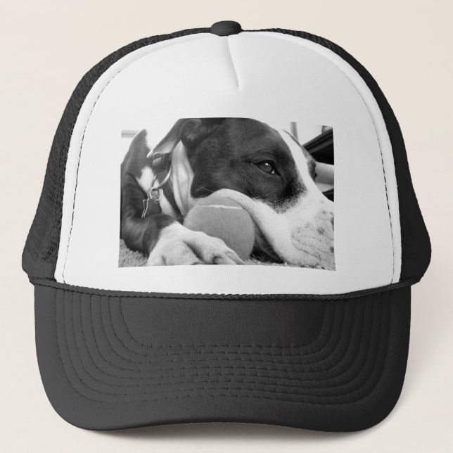 Boné bonito e triste cão pitbull preto branco com bola (Frente)