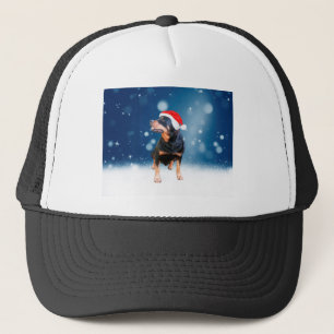 Boné Bonito Rottweiler Cachorro Natal Santa Hat Estrela