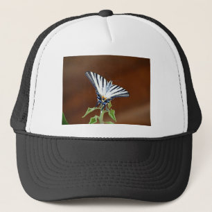 Boné Borboleta-cauda-branca e preta