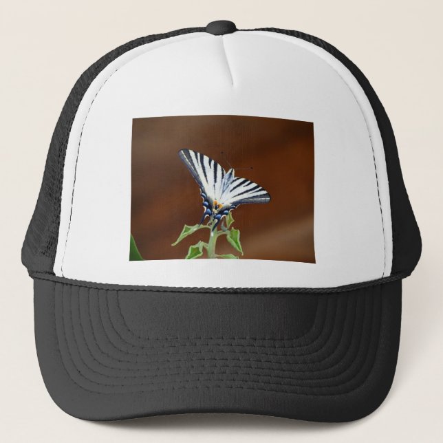 Boné Borboleta-cauda-branca e preta (Frente)