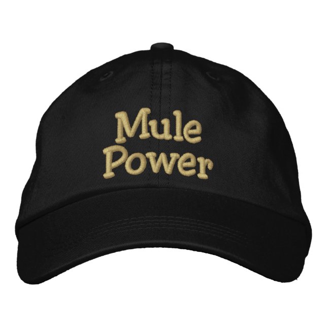 Boné Bordado Mule Power (Frente)